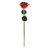 Preserved Rose 24K Gold Plated Bright Luster Rich Details Exquisite Gold Dipped Rose for Birthday
