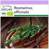 Organic - Розмарин - 40 семян - Rosmarinus officinalis