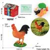 4D Stereo DIY Animal Model Kit: Eagle, Scorpion, Gecko, Rattlesnake, Spider, Lizard, Squirrel, Hedgehog
