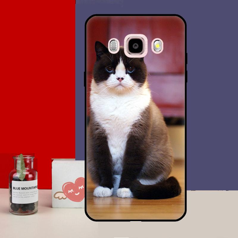 Чехол с британским короткошерстным котом для Samsung Galaxy J7 J5 J3 J1 A3 A5 2017 2016 J4 J6 Plus A6 A7 A8 A9 2018 задняя крышка