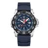 Luminox Luminox navy seal сталь 3250 время дата серия для мужчин аналоговый дисплей швейцарские кварцевые те же другие (Люминокс) ?стол ?ребенок XS.3253.CB [элемент]
