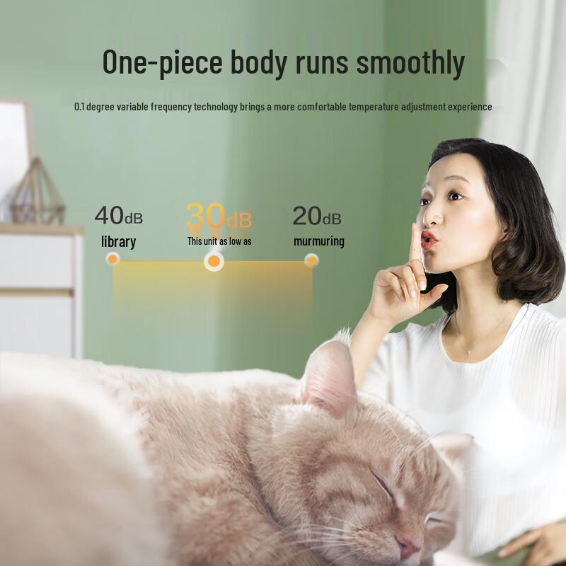 CHANGHONG Large 2 HP Inverter Cooling & Heating Air Conditioner