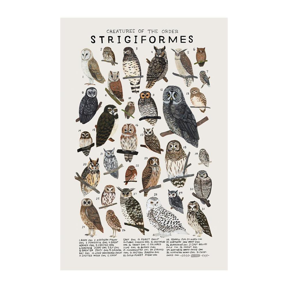 Абстрактные морские организмы медузы киты кальмары рыбы постеры холст картины и принты настенное искусство картина для комнаты домашний декор