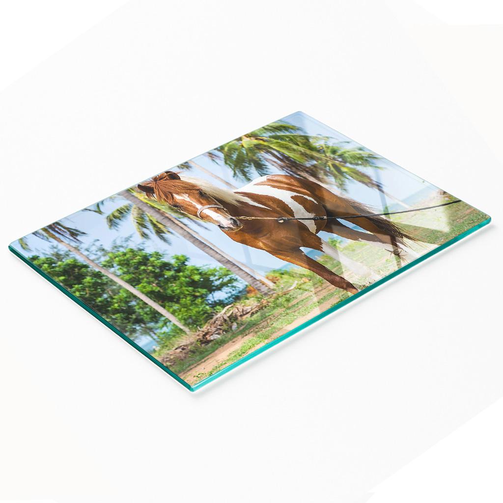 Decorative Glass Kitchen Chopping and Serving Board Pinto Horse 80x52 cm