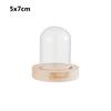 Plants Transparent Bottle Jar Glass Vase Wooden Base Flower Storage Box Glass Cloche Dust Cover