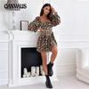 Женские осенне-зимние новые платья с длинными рукавами и леопардовым принтом