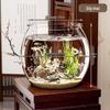 Betta Fish Viewing Tank: Compact Ecological Aquarium for Small Goldfish—Stylish Plastic Design for Home or Office Display