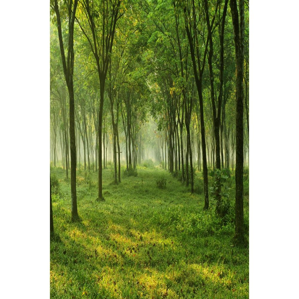 Spring Natural Scenery Forest Photography Backdrop Tropical Jungle Green Forest Tree Adventure Baby Portrait Photo Background