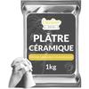 Plâtre Pour Moulage - Creative Deco - 1kg - Poudre De Céramique - Alginate Compatible - Idéal Pour Sculptures