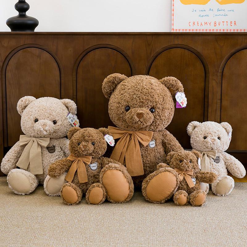 Плюшевый мишка Тедди Игрушка Девочка День рождения Мягкая Наполнитель из ПП хлопка Детский подарок Кукла