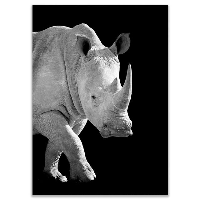 Черно-белые настенные постеры с животными, принт, носорог, жираф, зебра, лев, слон, холст, картина, настенное искусство, декоративные домашние фотографии