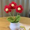 1PC Handmade Weaving Mini Potted Flowers DIY Home Office Desktop Decoration Potted Plants Wool Home Decoration
