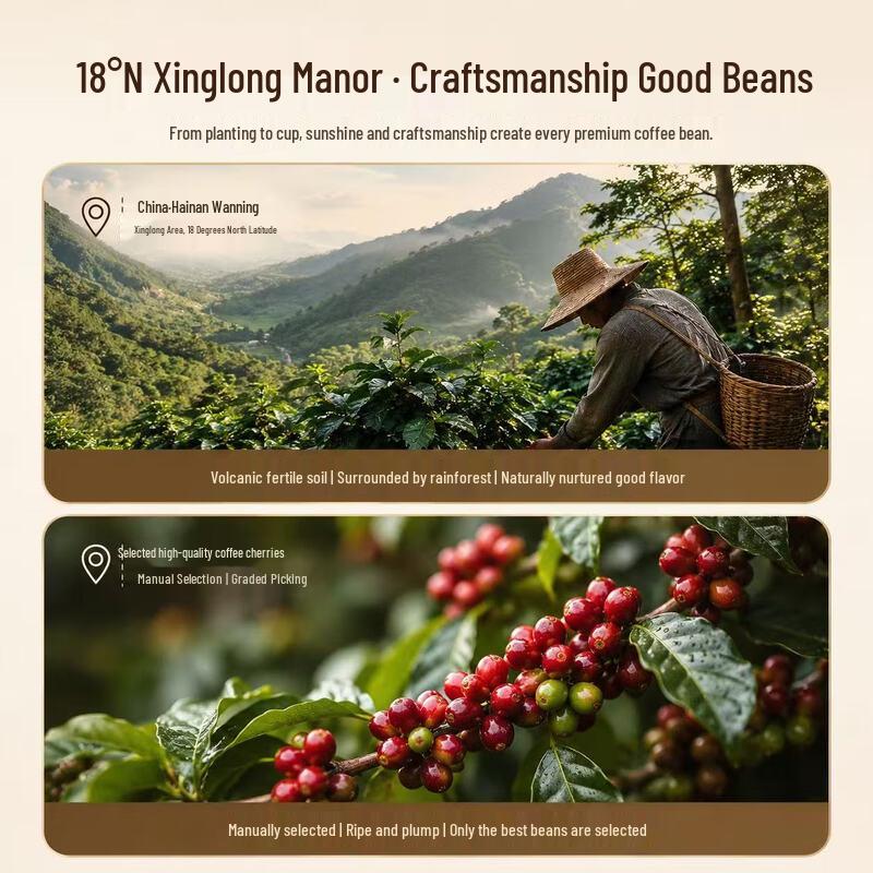 Xinglong Sun River Premium Coffee Beans