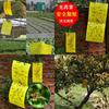 Timeless 5pcs Outdoor Yellow Sticky Glue Flying Pest Insect Papers Traps For All Your Gardening Needs