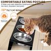 Elevated Cat Food Bowl15Tilted Stand Anti Vomiting Raised Cat Dishes for Food and Water 3 Stainl Steel Bowls NonSlip No Spill C