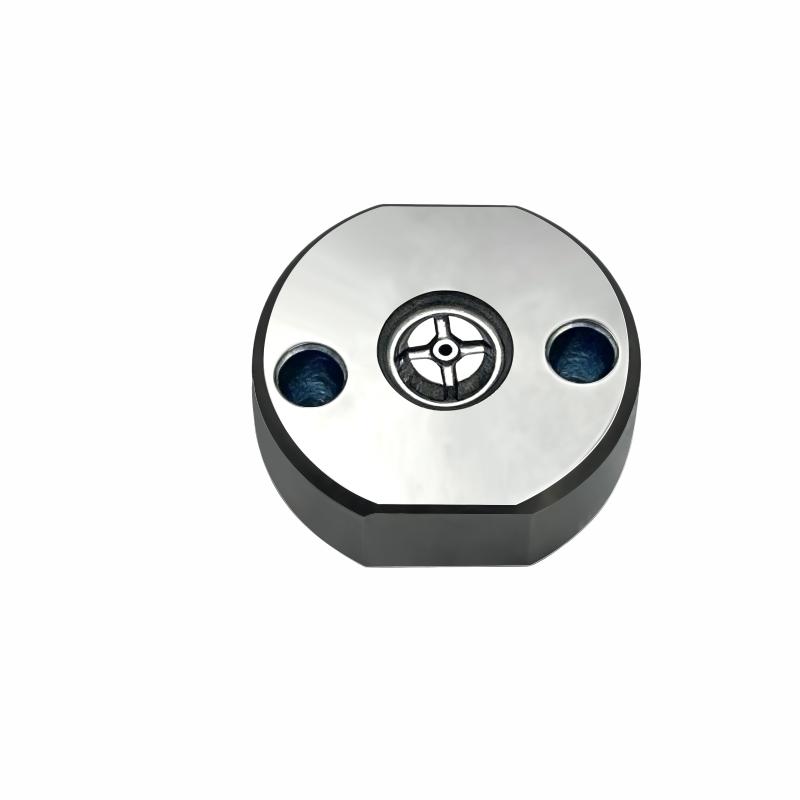 10# G2/G3 Diesel Engine Injector Control Valve Plate Suitable For Injectors : 095000-5125 095000-5214 095000-5271 LH1142