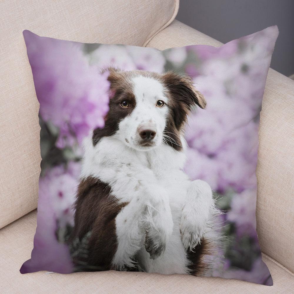 Милый питомец животное собака принт наволочка шотландский бордер колли подушка чехол диван украшение для автомобиля