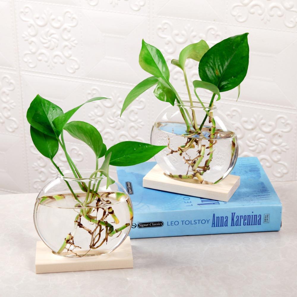 Transparent Glass Hydroponic Plants Container Elegant Plants Glass Vase Weddings
