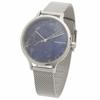 Skagen Women's Watch SKAGEN SKW2718 Silver Blue