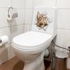 Yousheng 3D Pass Through Cat Toilet Sticker Removable Self-adhesive Waterproof PVC Living Room Bathroom Wall Art Broken Hole Kitten Toilet Lid