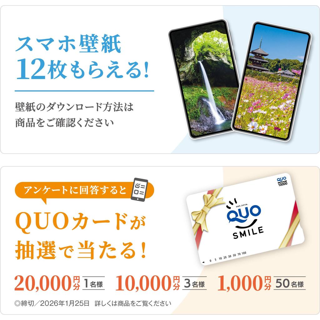 Календарь для фотостудии Потрясающие объекты всемирного наследия в Японии 2026 Настенный календарь Пейзаж Включает 12 обоев для смартфона Пейзаж [Прозрачный держатель,