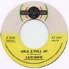 7inch Record LUCIANO - Haul & Pull Up / Dh DIGI701 Digivybz 2017 UK Reggae, Ska & Dub Used