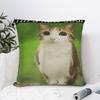 Pillow Cover Internet Famous Meowl Cat Owl Meme  Morden Pillow Case For Sofa Home Decoration Pillowcases