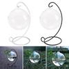 Stand Wall Hanging Mini Fish Tank Glass Vase Fishbowl Transparent Fish Tank Hanging Glass Fish Bowl