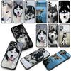 Phone Cover Animal Lovely Husky Dog Casing for Samsung Galaxy S25 S24 S22 S23 FE Ultra Plus A56 A05 A06 A15 A16 A55 S7 Edge Case