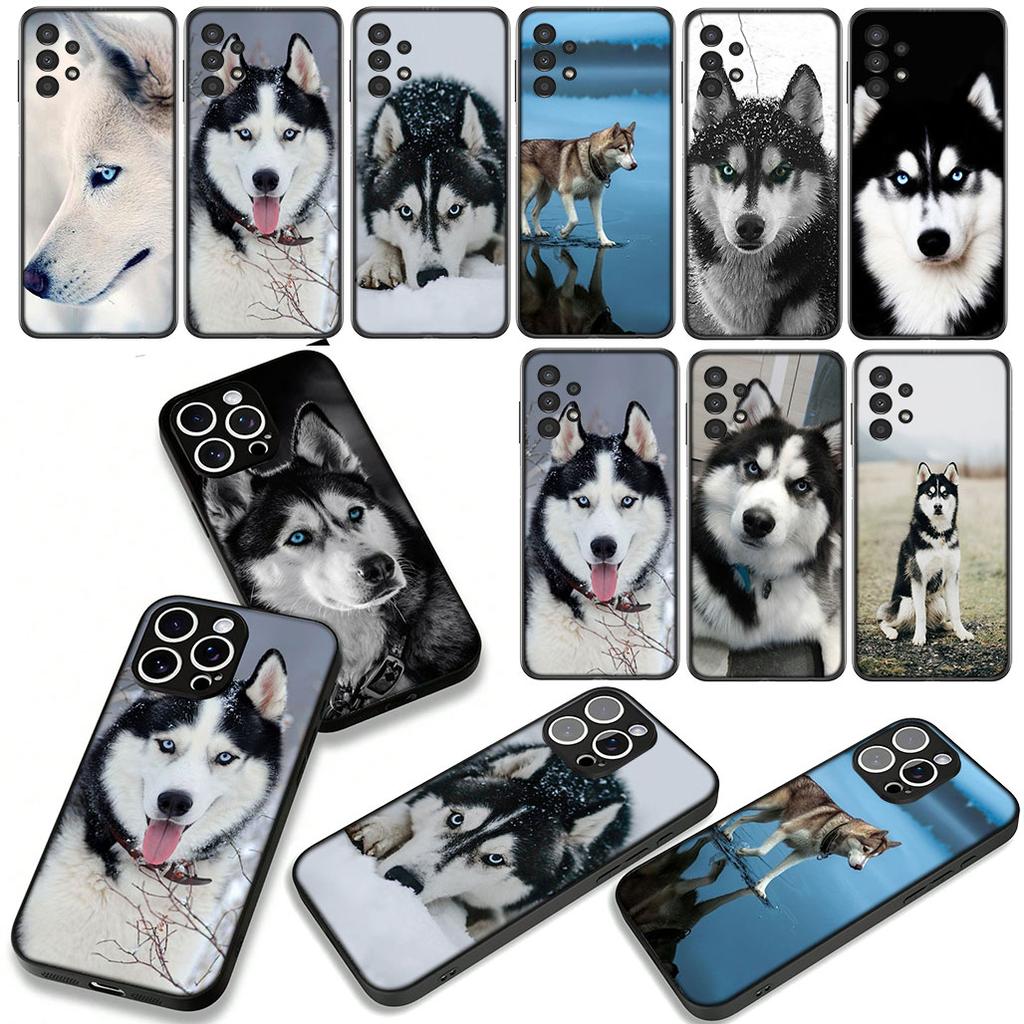 Phone Cover Animal Lovely Husky Dog Casing for Samsung Galaxy S25 S24 S22 S23 FE Ultra Plus A56 A05 A06 A15 A16 A55 S7 Edge Case