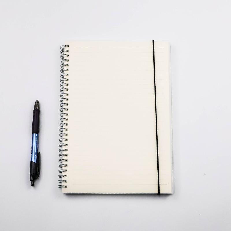 В наличии Матовый прозрачный пластиковый переплетный стрип формата А5, Бизнес-блокнот - Ежедневник-планировщик для студентов, Стиль INS, Блокнот на спирали с возможностью персонализации