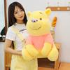 New Winnie the Pooh doll butterfly puff bear plush toy cute doll girl gift