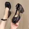 French Retro Mary Jane Shoes Women's New Spring and Autumn Square Head Small Leather Shoes Light Mouth Fairy Style Thick Heel Shoes