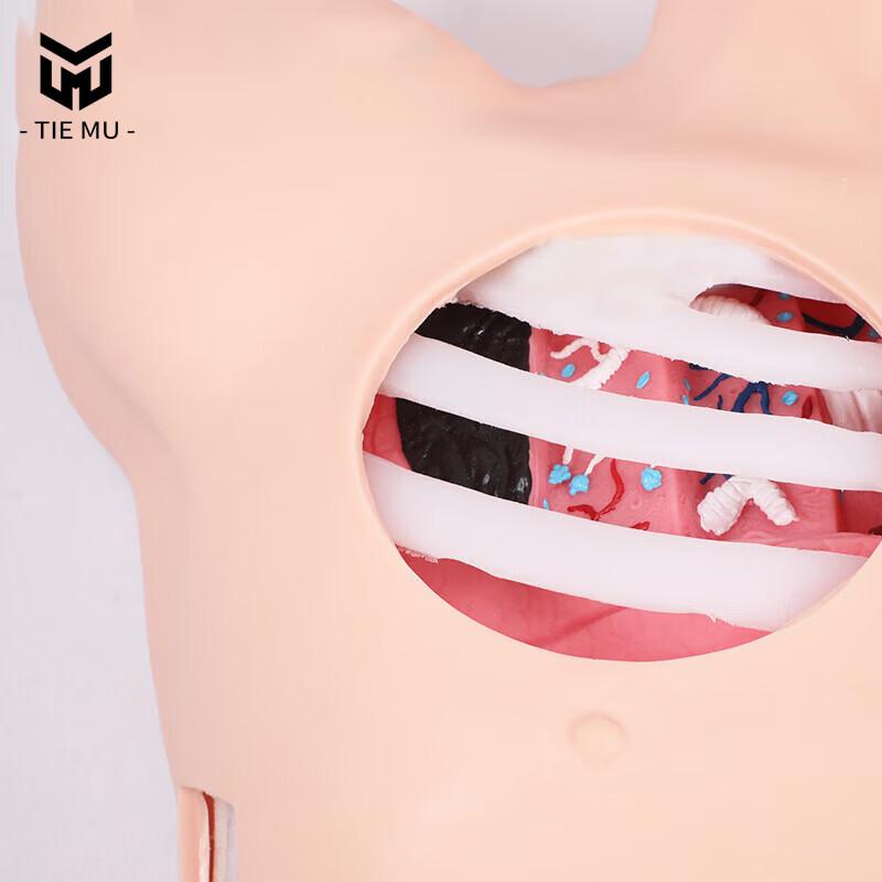 Medical Thoracic Puncture Training Module