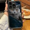 Кошка британская короткошерстная Мягкий ТПУ чехол для телефона Для iphone 17 Air 16 15 14 13 12 11 Pro Max Plus Чехол