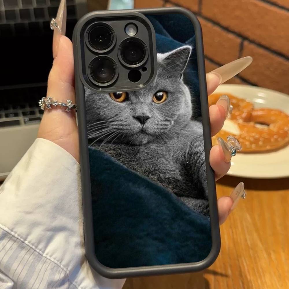 Кошка британская короткошерстная Мягкий ТПУ чехол для телефона Для iphone 17 Air 16 15 14 13 12 11 Pro Max Plus Чехол