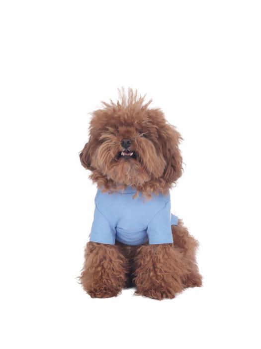 MONCHOUCHOU Футболка с рукавами Lazy Farm_Небесно-голубой