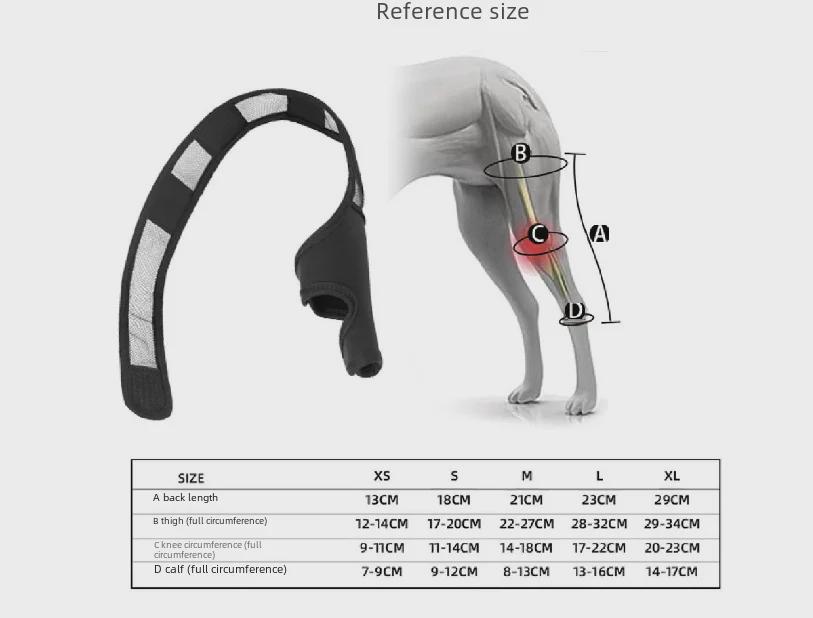 Поддержка и защита собачьих лап: Регулируемые наколенники для передних и задних ног