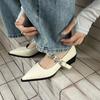 2025 Spring New French Pointed Head with Metal Buckle Thick Heel Medium Heel Mary Jane Shoes Single Shoes Small Leather Shoes Women