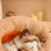 Зимний спальный мешок для кошек, складчатый мешок для кошек, съемный мешок для сна для кошек, 360° теплый полузакрытый спальный мешок для кошек, кровать с пещерой, зимний теплый сон для домашних животных
