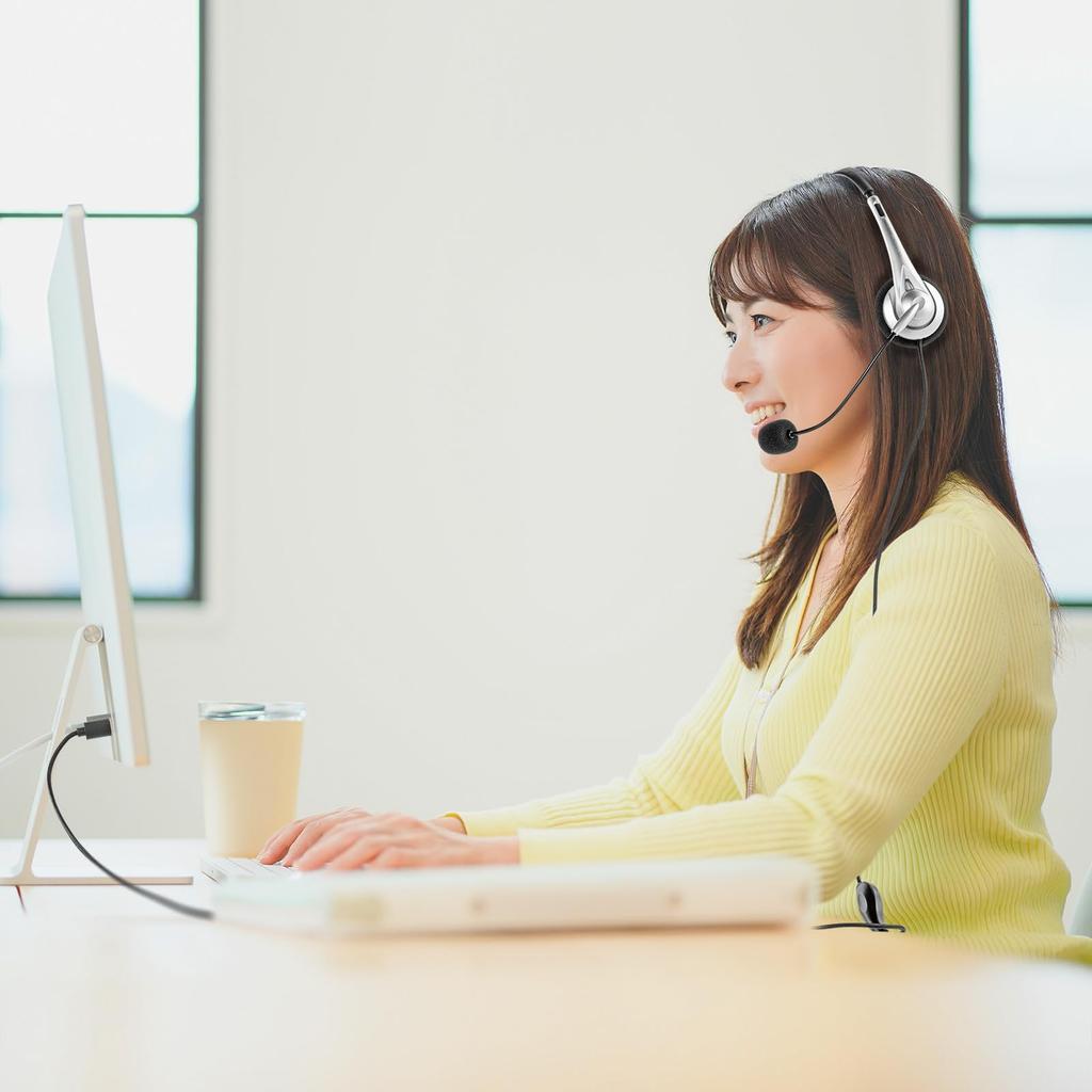 Sanwa Supply USB TypeC Гарнитура MM-HSTC03SV