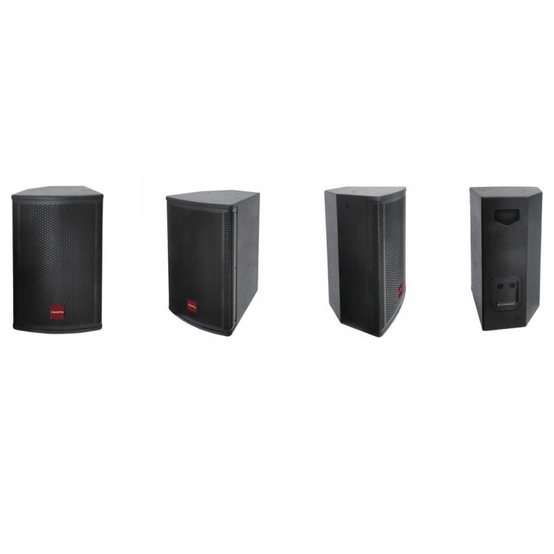 Changtu 12-inch Professional Passive Conference Speaker (CN version)
