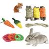 Engaging Dental Chew Toys for Rabbits, Guinea Pigs, and Cats - Fun & Healthy Snack Set