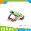 Simulation Amphibian Frog Triangular Dead Leaf Frog Red-Eyed Tree Frog Darwin Frog Static Model Ornament