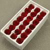 Fantasy Ferris Wheel: 2-3cm Blue Enchantress Immortal Rose for DIY Projects