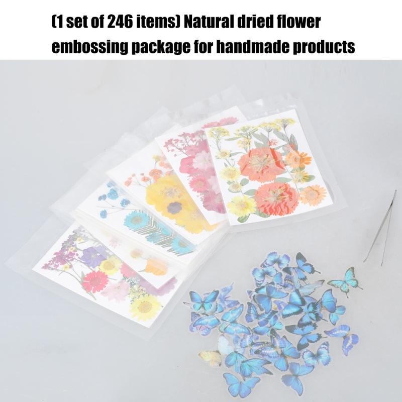 205Pcs Pressed Dried Flower For Resin Natural Dry Flower Leaf with Tweezers Sticker for Art Craft Candle Jewelry Making