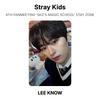 Stray Kids 4-я ФАН-ВСТРЕЧА 'МАГИЧЕСКАЯ ШКОЛА SKZ' ЗОНА STAY Официальная Фотокарточка