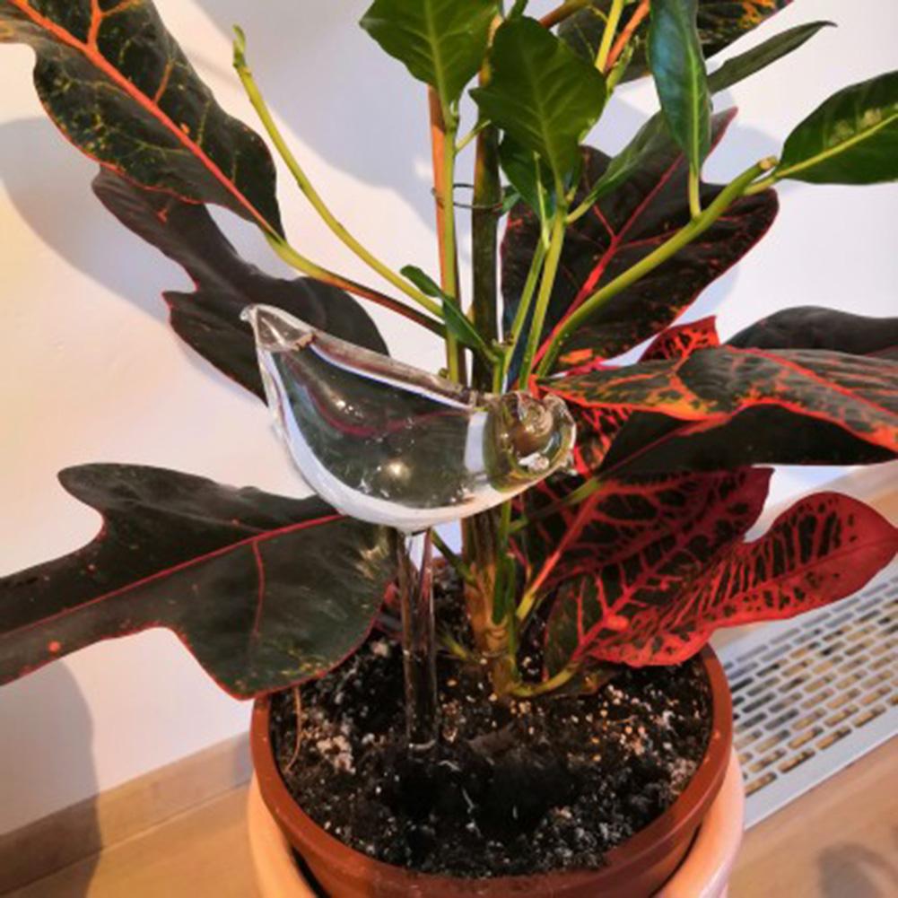 1-10 шт. Капельница в форме птицы для овощного сада, горшок-колба для цветов, устройство для полива растений, автоматический полив, колбы для полива растений