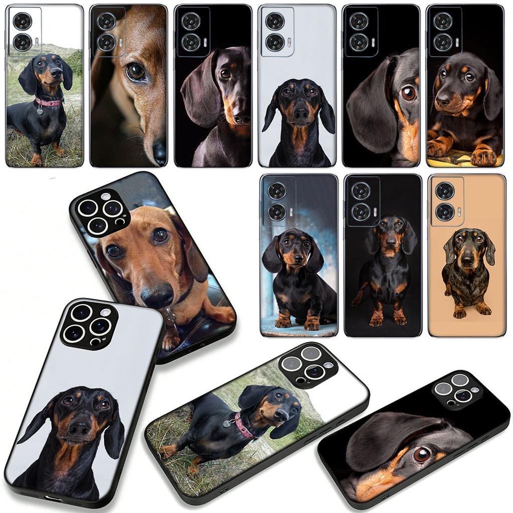 Phone Cover for Samsung Galaxy A07 A13 A12 A14 A23 A42 A50 A51 A52 A53 A70 A71 A72 A21S A04 Note 20 9 8 10 Case Dachshund Dog