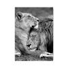 Современные животные прекрасный лев холст картины постеры и принты настенные художественные картины для гостиной украшения дома Cuadros